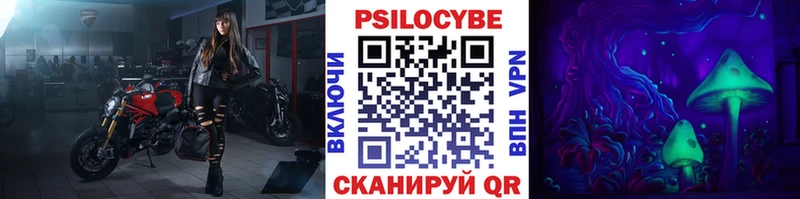 Псилоцибиновые грибы Psilocybe  Змеиногорск 
