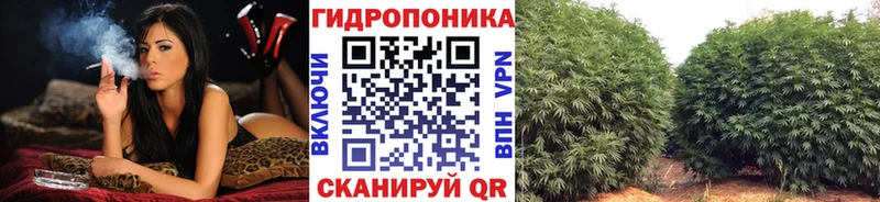 Бошки Шишки тримм Змеиногорск